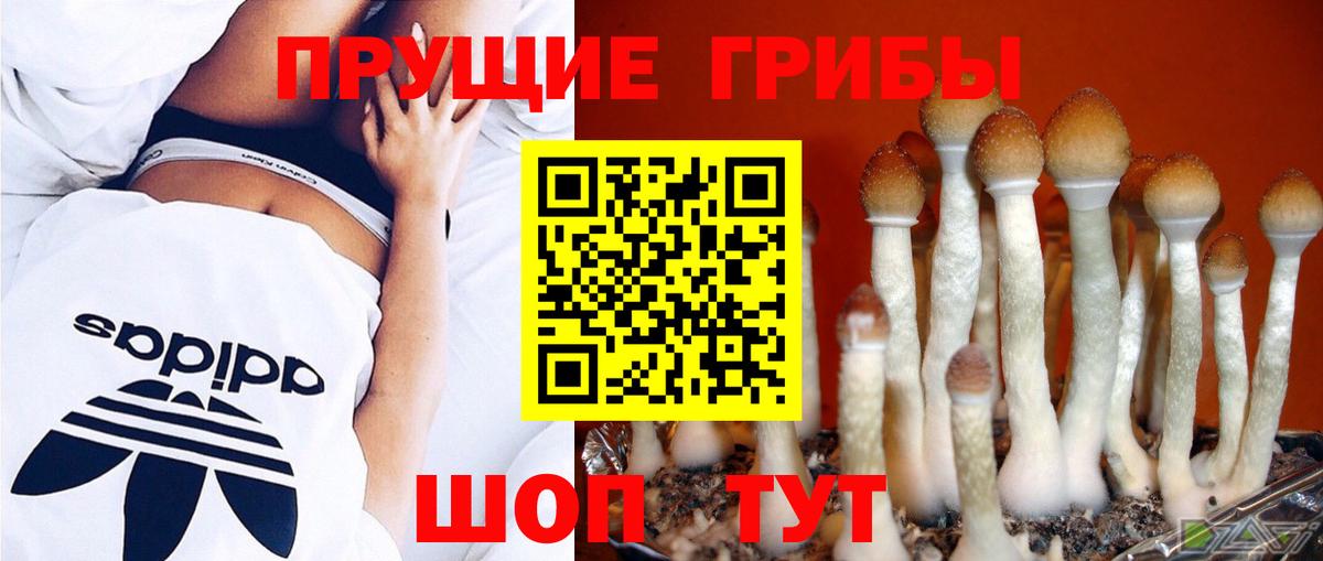 Псилоцибиновые грибы прущие грибы  купить наркоту  Коломна  Вход с VPN 